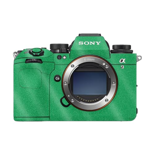 View 2