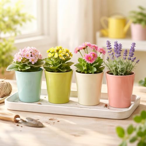 Image of Xtore Contemporary Matte Ceramic Planter Set of 4 for Indoor Plants | Minimalist Colorful Flower Pots for Desk, Shelf & Home Decor Styling (Pack of 4, Planter only)