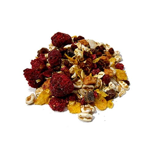 SANDDORN Frucht BIO MÜSLI I mehr als 20% Fruchtanteil I ohne Zuckerzusatz (enthält von Natur aus Zucker) I Vegan I Superfood des Nordens I Leinsaat I 600g