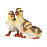 DEKO FIGUREN GARTEN - Ob du nun für deinen Miniteich Deko benötigst, oder ob du die Entenküken als Vorgarten Deko verwenden möchtest, ist ganz dir überlassen. Die Gartendeko Tiere sind da anpassungsfähig.
