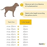 lionto Hundehalsband aus strapazierfähigem Nylon für Hundetraining, Länge 45 cm, 1 cm Dicke, Zugstopp Halsband für Hunde, Lederimitat mit Metallring & Anpassung durch stufenlosen Schieber, rot