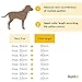 lionto Hundehalsband aus strapazierfähigem Nylon für Hundetraining, Länge 45 cm, 1 cm Dicke, Zugstopp Halsband für Hunde, Lederimitat mit Metallring & Anpassung durch stufenlosen Schieber, rot