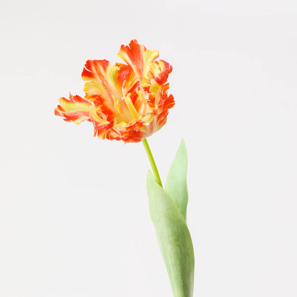 3D Papegaai Tulpen Kunstmatige Bloemen Faux Tulpen, Handgemaakte Zijde Bloem Bruid Cadeau Vaas, Kunstmatige Bloem Echte Touch Nep Bloem (wit