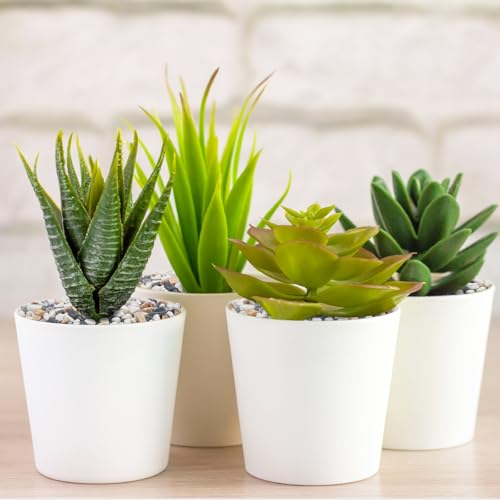 Image of 5 lbs Small Rocks for Plants, 1 /5 Inch Pebbles for Indoor Plants, Natural Decorative Pea Gravel for Aquarium, Fish Tank, Terrarium, Succulents, Bamboo Plants, Vases, Cactus, Crafts