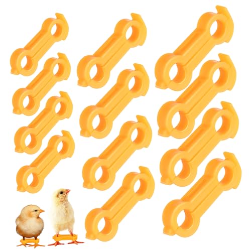BESTonZON 12Pcs Bird Leg Stabilizer Splay Leg Correction Bands for Chickens Pigeons Ducks Parrots Flexible for Lasting Stability