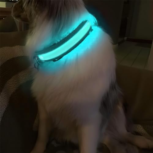 MASBRILL Leuchthalsband Hund, Hundehalsband Leuchtend Aufladbar USB-C, LED Halsband für Hunde Einstellbare Wasserdicht, Halsband Hund Leuchtend 3 Lichtmodi für Kleine Mittlere Große Hunde(Schwarz L)