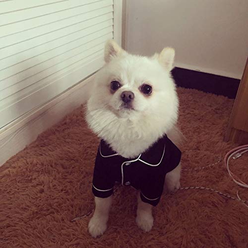 NEARTIME Puppy Clothes, Small Dog Cat Pet Dress Fly Sleeve Dress for Pet