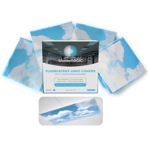 Luxury 12 Best Fluorescent Light Covers/Filters For Classroom