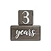 LovelySprouts Premium Solid Wood Baby Milestone Age Blocks + Gift Box | Gray Stained Natural Pine | Weeks Months Years Grade Newborn Photo Props | Pregnancy Gift and Keepsake, Month Photos