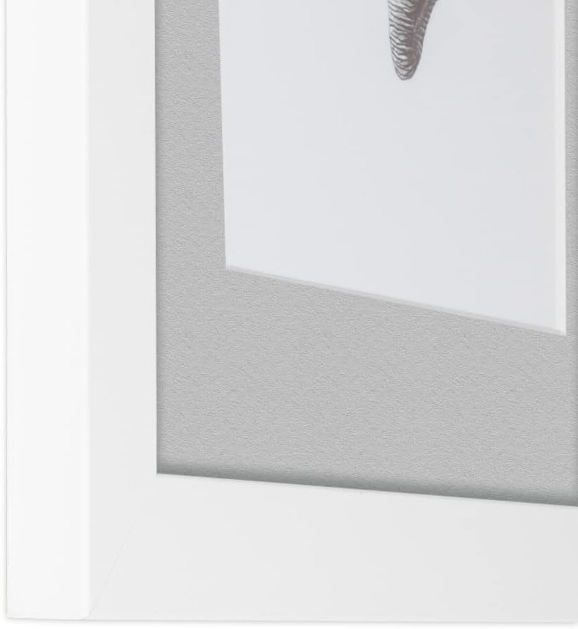 ArtToFrames 8x8 inch Satin White Frame Picture Frame with 2 Inch Single TV Grey Mat, SingleMat-FRBW26074-8x8-88