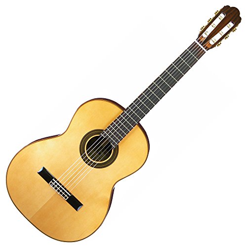 アコースティックギター　Aria EST1956 ソフトケース付 アコースティックギター Aria EST1956 ソフトケース付