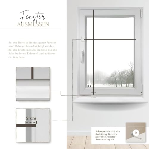 Home-Vision® Premium Doppelplissee Wabenplissee ohne Bohren mit Klemmfix (Weiß-Graphit, B65cm x H120cm) Modern Klemmfix Blickdicht Plissee Sonnenschutz Hitzeschutz Jalousie für Fenster Thermo