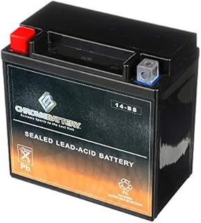 Chrome Battery YTX14-BS Maintenance Free Replacement Battery for ATV, Motorcycle, Scooter, Snowmobile, and UTV: 12 Volts, 1.4 Amps, 12Ah, Nut and Bolt (T3) Terminal