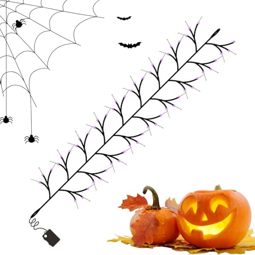 Chaînes décoratives LED Halloween lumières pour terrasse maison et arbre