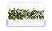 Produktbild Click & Grow Smart Garden 9 Indoor-Garten M5261900, passend für 9 Kräuterkapseln, weiß