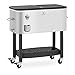 Royal Catering RC_IC_03 - Nevera con chasis (61 L)