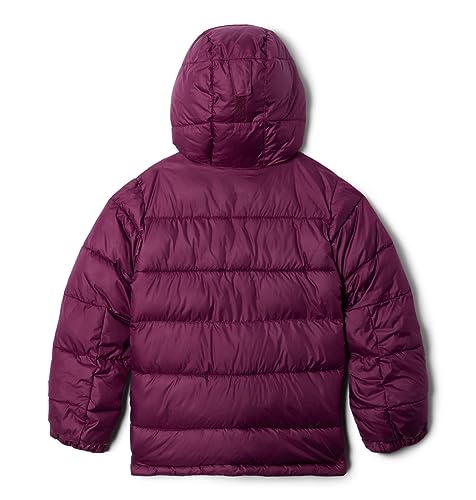 Image of Columbia Kids Pike Lakea ¢ II Hooded Jacket (Little Kids /Big Kids)