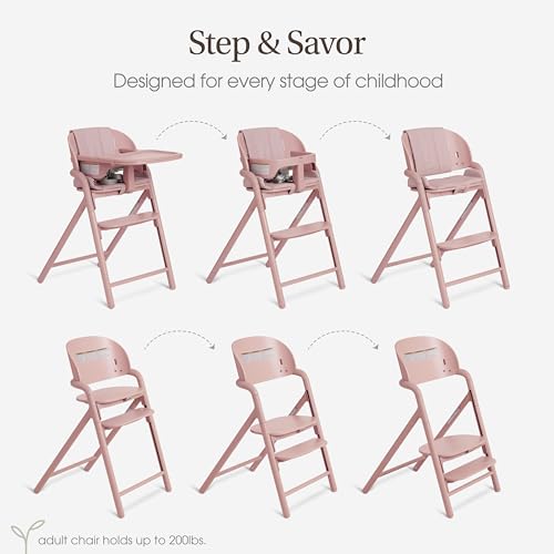 Image of Evolur Step and Savor Baby High Chair, Converts to Adult Stool, 5 Position Adjustable Height and Footrest Positions Portable High Chair, Removable Tray, Easy to Clean and Removable Cushion