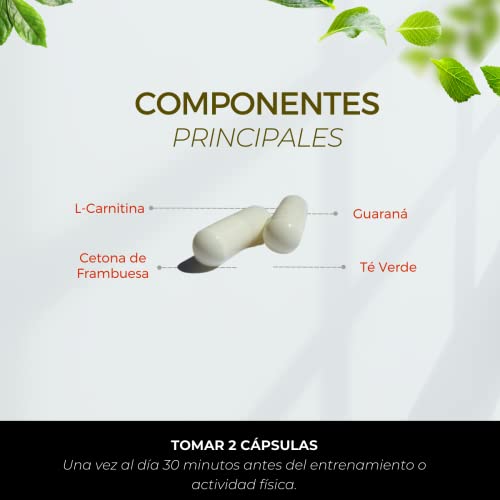 Proteínas, Imagen adicional