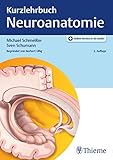 neuroanatomie trepel pdf  Kurzlehrbuch Neuroanatomie
