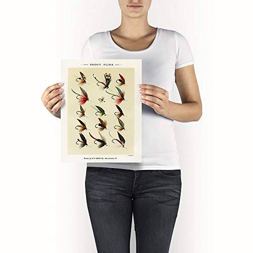 Trout Flies Fish Print, Vintage Fishing Poster Wall Art Decor, Gift For Dad, Man, Fisherman Cabin Poster Cabin Print | C49 11X14 #TOP1