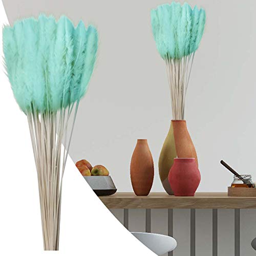 Getrocknetes Pampasgras natürlicher Pampasgras Deko 60-65cm lang Trockenblumen groß Boho Deko Tischdeko Dekozweige für Trockenblumenstrauß echte Dekoblumen Pampas Deko Blumen getrocknete Blumen Cover