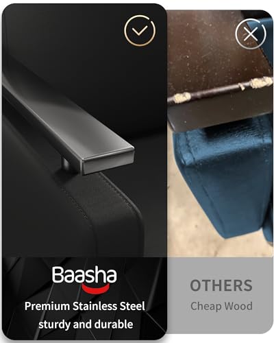 Baasha BS84-ALLBLACK Luxury All Black Salon Chair, Comfortable Stylist Chair With Stainless Steel Armrest, Heavy-Duty Hydraulic Pump thumb #5