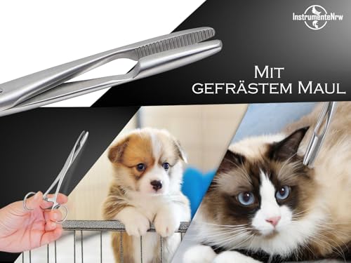 Tierhaar-Entferner Haar-Zupfzange für Hunde Pferde aus rostfreiem Edelstahl für Rechthänder und Linkshänder 15 cm