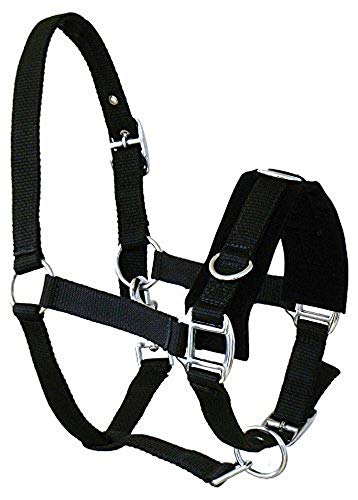 JF Reitsport AHA-08-04-04 Licou de cheval Noir