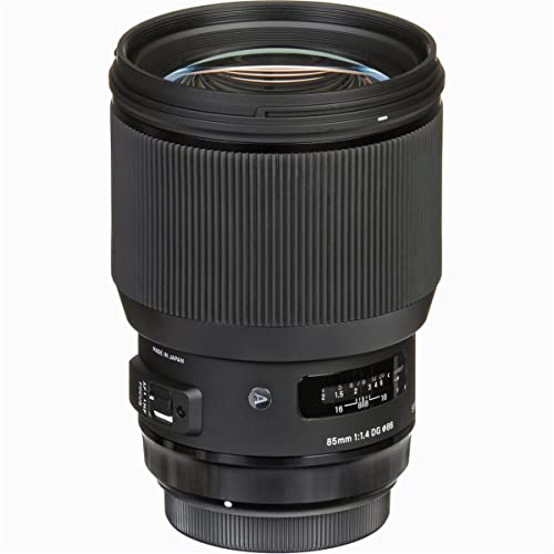 Sigma 24-70mm f/2.8 lens
