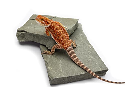 CAROLINACUSTOMCAGES Natural Habitat Basking Rocks for Reptiles, Blue Green, Medium Size Pair, Carolina Custom Cages