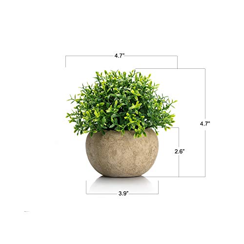 Velener 2Pcs Mini Artificial Boxwood Topiary Faux Plants Indoor- Small Fake Plants Decor Magnolia Home Office Desk Cubicle Farmhouse Kitchen Bookshelf Bedroom Bathroom Decor, Aloe Vera Zen Garden #TOP1