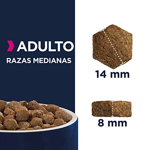 Eukanuba Alimento seco para perros adultos activos de raza mediana,, rico en pollo fresco 15 kg