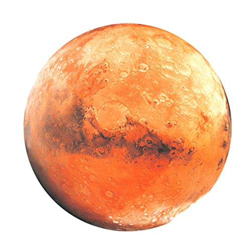 QpledCg Ƃ炷 铔vWFN^[ ̂߂̘fzn xr[iCg