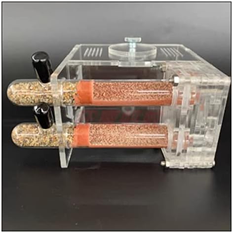 Tube à Essai Pour Fourmis - Tube Écologique En Verre Pour Nid Et Élevage De Fourmis Domestiques