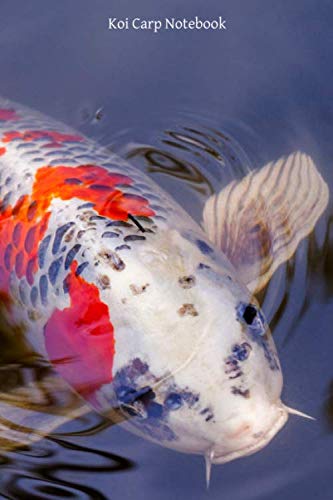 Koi Carp Notebook: Portable lined Koi Carp - Travel Journal to write in - 120 pages - 6"x9"