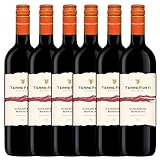 Terre Forti Sangiovese Italian Red Wine 6 x 75cl