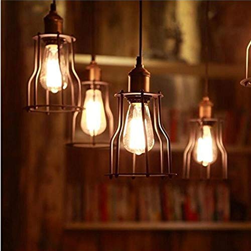 Kiven Tb8760 Squirrel Cage Vintage 60W Edison Bulb Dimmable Filament Incandescent Light Bulbs, 6-Pack #TOP2