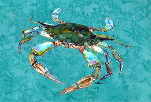 Carolines Treasures 8657PLMT Crab Fabric Placemat Large Multicolor