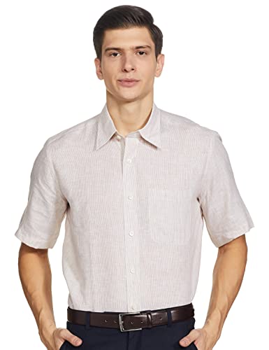 Image of Raymond Men's Solid Regular Fit Shirt