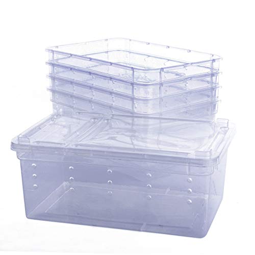 Breeding Box 5pcs, Petforu Worm Dish Reptile Feeding Box Food Container Small Size (Transparent White S)