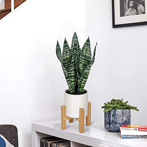 Briful 14'' Fake Snake Plant Home Decor Real Touch Faux Sansevieria Plant In White Ceramic Pot With Wooden Stand Artificial Snake Plant With Wide Leaves For Kitchen Living Room Bathroom Decorations #TOP1