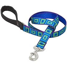 LupinePet Originals 1" Sea Glass 6-Foot Padded Handle Leash for Medium and Larger Dogs