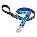 LupinePet Originals 1" Sea Glass 4-foot Padded Handle Leash for Medium and Larger Dogs
