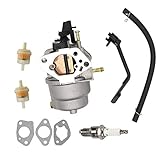 SAKITAM Carburetor compatible with Ruixing 139 RX139 Carb Generator
