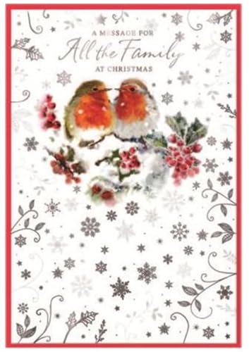 Image of To All The Family Christmas Card - Fextive Robin - Size: 7.5" x 5.25" XAFb