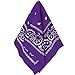 Amscan Party Ready Team Spirit Bandana Accessory, Purple, Fabric , 20" x 20"