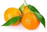 Mandarina (con hoja) - 700 g