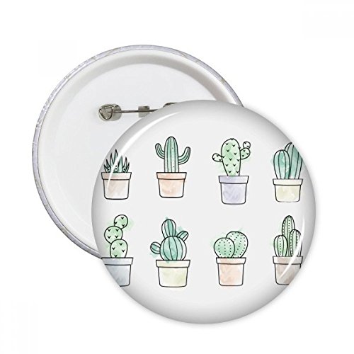 Plantes grasses pins rond pour égayer une tenue ou masquer un défaut
