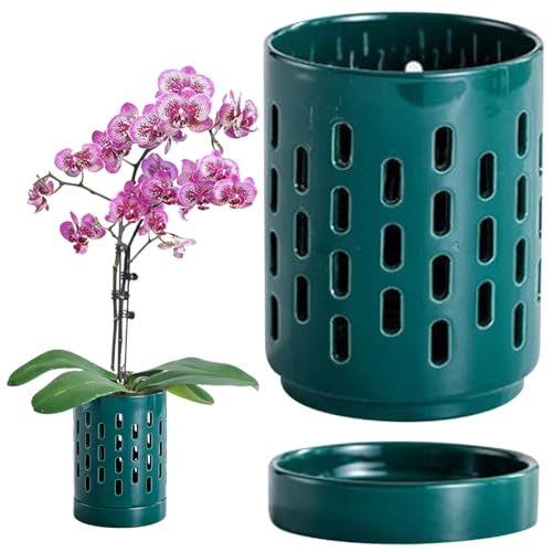 Macetas de orquídeas huecas con agujeros y platillos, maceta de orquídea de cerámica pequeña de 4 pulgadas, sembradora efectiva de drenaje y ventilación para ollas verdes interiores/exteriores con ag